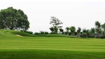 皮帶輸送機正常工作過程與托輥的優點